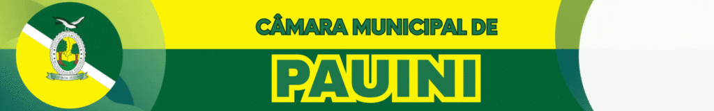câmara pauini