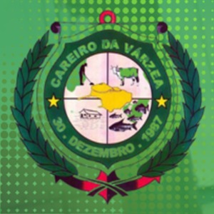 brasão da câmara de careiro da varzea
