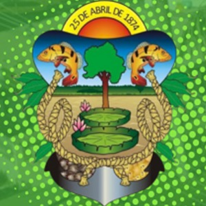brasão câmara itacoatiara