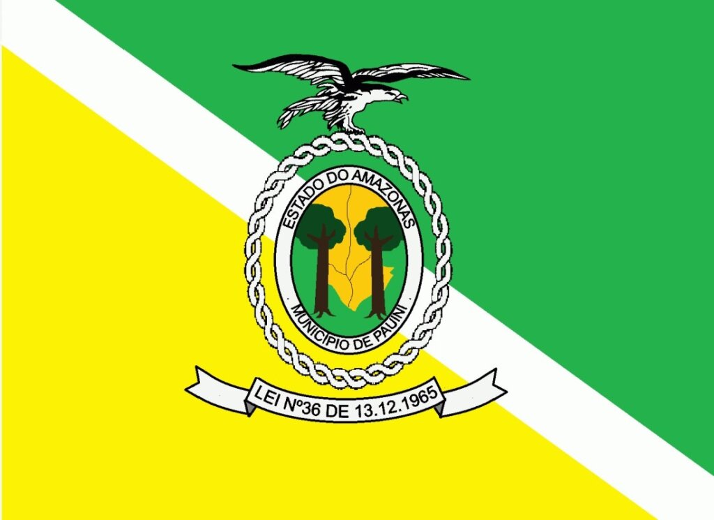 brasão câmara pauini